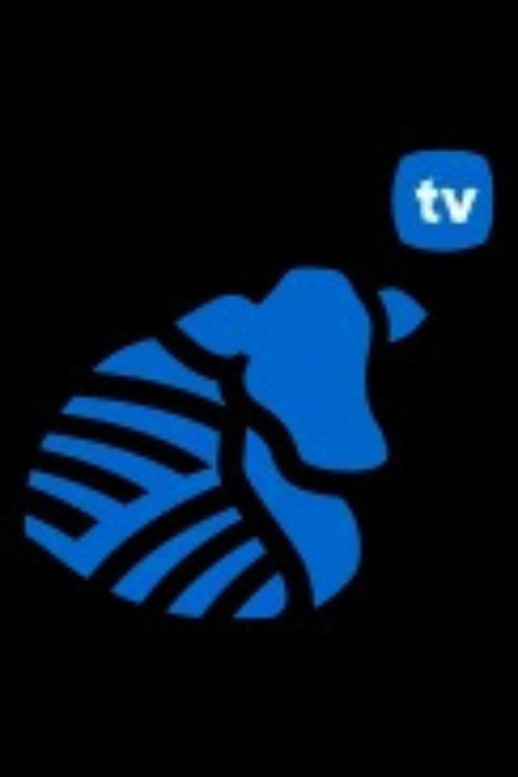 Productiva TV