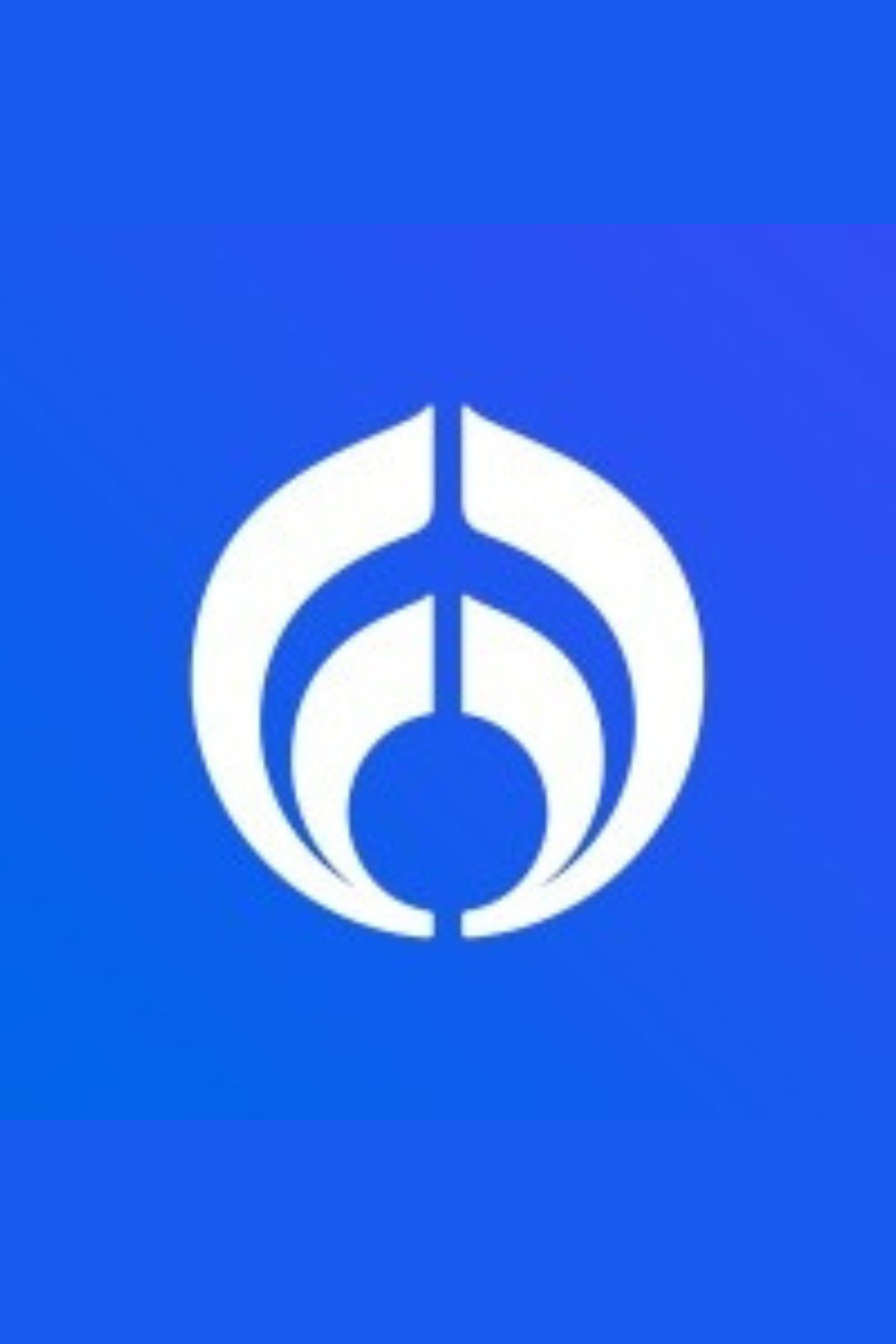 TELEFORMULA